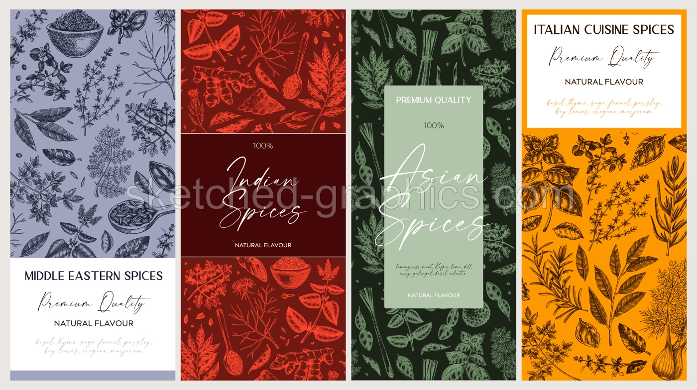Spice packaging designs set. Herbs and spices sketches. Hand-drawn vectot illustration. Vintage spice labels templates. NOT AI generated Illustration